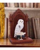 The Scribes Companion Enchanting Owl Ornament Scribes 23.5cm 7