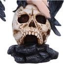 Riven Gothic Winged Figurine Seated on Skull 35cm Statue 5