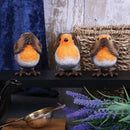 Three Wise Robin Figurines 8cm Robins 6