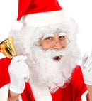 Character Curly Wig & Beard White - In Polybag