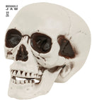 Skull With Movable Jaw 12 Cm