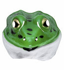 Frog Mask Plastic