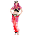Harem Dancer  Top With Vest, Pants, Headpiece With Veil 