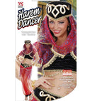 Harem Dancer  Top With Vest, Pants, Headpiece With Veil 
