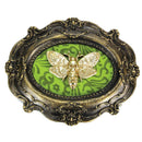 Moth Macabre Baroque Framed Deaths Head Wall Plaque 22.3cm 2