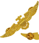 Gold Aviator Brooche