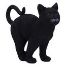 Moonlight Watcher Black Cat Figurine 15cm 2