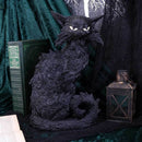 Large Black Cat Witches Familiar Figure Salem 32.5cm Resin Statue 6