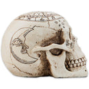 Astrological Skull Engraved With The Zodiac Circle 20cm 3