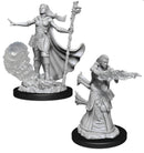 Male Human Druid D and D Nolzurs Marvelous Unpainted Miniatures Miniature Game by Wiz Kids 4