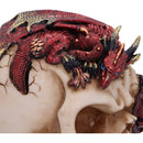Rose Flame Decorative Skull With Sleeping Dragon 14.5cm 6