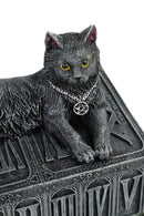 Fortunes Watcher Cat Familiar Tarot Box Fortunes 17cm 6