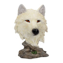 Snow Searcher White Wild Wolf Bust 16cm 1