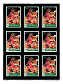 Ultra PRO Black Border ONE Touch 9 Graded Card Display Case Show Off Protect