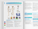 Break RPG Core Rules Roleplaying Game by Grey Wizard Press 8