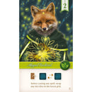 Nocturne Board Game Set Collection and Bidding Play as Fox Mystics Find Magical Items
