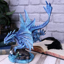 Adult Water Dragon Figurine By Anne Stokes 31cm 6