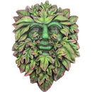 Beltanes Bourgeon Wall Hanging Mounted Tree Spirit Green Man Beltanes 29cm 2