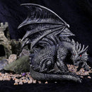 Nemesis Now Obsidian Dragon Figurine 25cm 7
