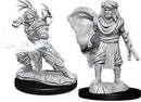Male Human Druid D and D Nolzurs Marvelous Unpainted Miniatures Miniature Game by Wiz Kids 1