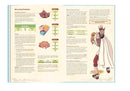 Obojima Tales from the Tall Grass Roleplaying Game by 1985 4
