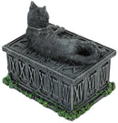 Fortunes Watcher Cat Familiar Tarot Box Fortunes 17cm 5
