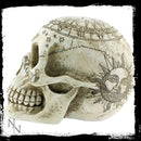 Astrological Skull Engraved With The Zodiac Circle 20cm 4