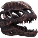 Dilophosaurus Skull Resin Replica 16cm 5