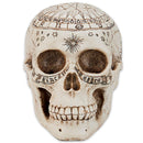 Astrological Skull Engraved With The Zodiac Circle 20cm 5