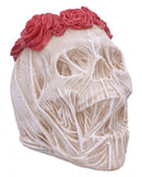 The Veil Skull Large 14.7cm 2