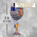 Harry Potter Hogwarts School of Witchcraft and Wizardry Collectible Goblet 19.5cm 4