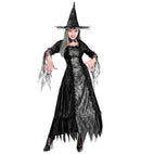 Spiderweb Witch  Dress With Wirehoop, Hat 