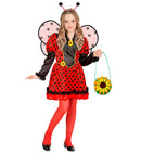 Ladybug  Dress, Wings, Antennas 