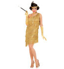 Flapper  Dress, Choker, Headband With Feather 
