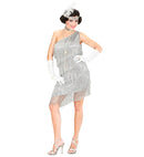 Flapper  Dress, Choker, Headband With Feather 