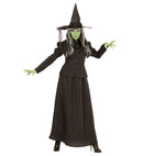Fairytale Witch  Jacket, Skirt, Hat 