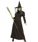 Fairytale Witch  Jacket, Skirt, Hat 