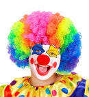 Clown Wig In Polybag