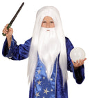 Wizard Wig With Beard In Box
