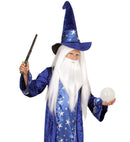 Wizard Wig With Beard In Box