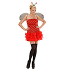 Ladybug  Dress, Wings, Antennas 