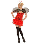 Ladybug  Dress, Wings, Antennas 