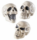 Skulls Display Box Of 12 - 3 Styles Ass. - 12 Cm