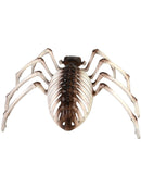 Spider Skeleton Prop Halloween Decoration
