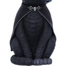 Purrah Black Witch Cat Hanging Decorative Ornament 11.5cm 6