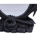 Scaled Reflection Dragon Mirror 29cm 4