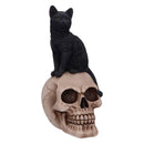 Familiar Fate Black Witches Cat and Skull Figurine 24.3cm 2