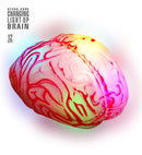 Cervello Luminoso Cambia Colore