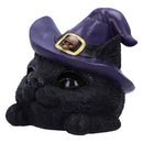 Familiar Grin Black Cat Head With Light Up Eyes 13.8cm 3
