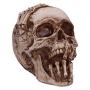 Breaking Out Skull Skeleton Ornament 20cm 2